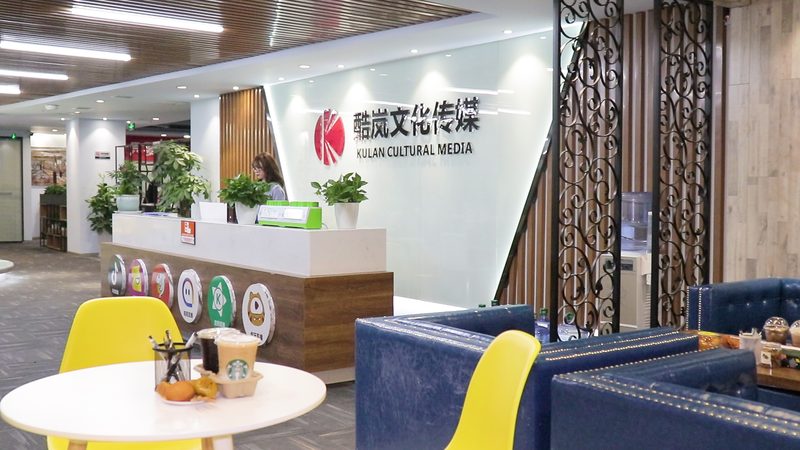 影视传媒公司分类揭秘：探寻差异背后的秘密