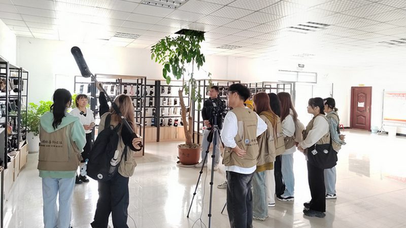 mg动画公司品牌排行榜背后的行业洞察